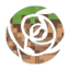 Rosaelia
